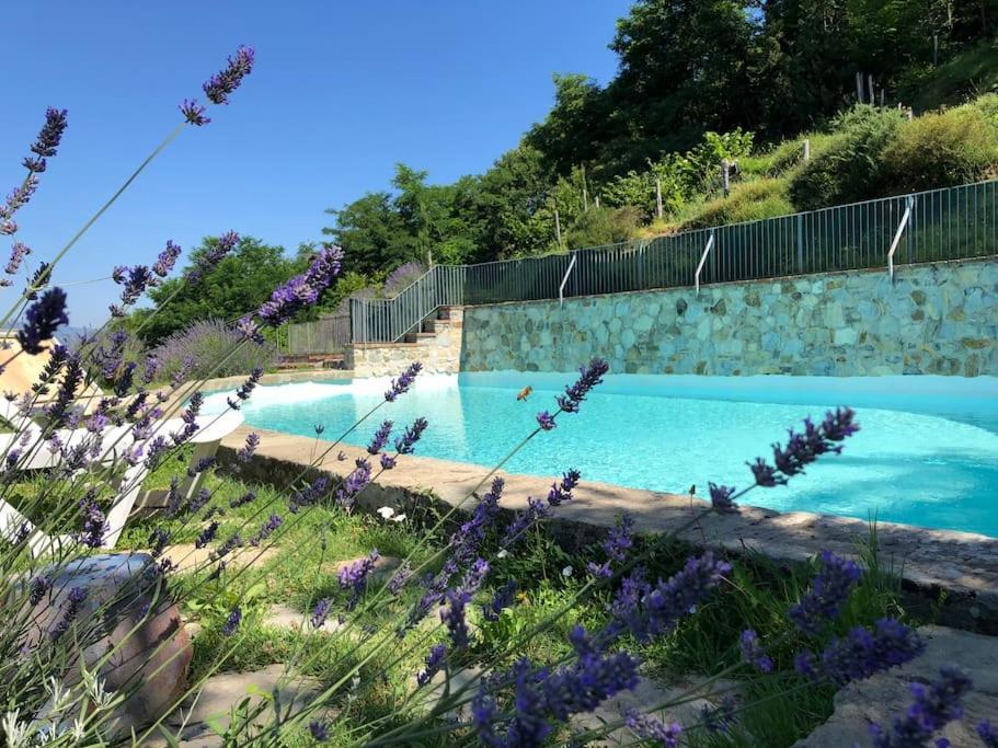 Podere Beatrice 20 Pax By Villasretreats Bardine di San Terenzo Eksteriør billede